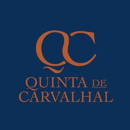 Villa Quinta De Carvalhal - Casa Da Vinha Guimarães Exterior foto