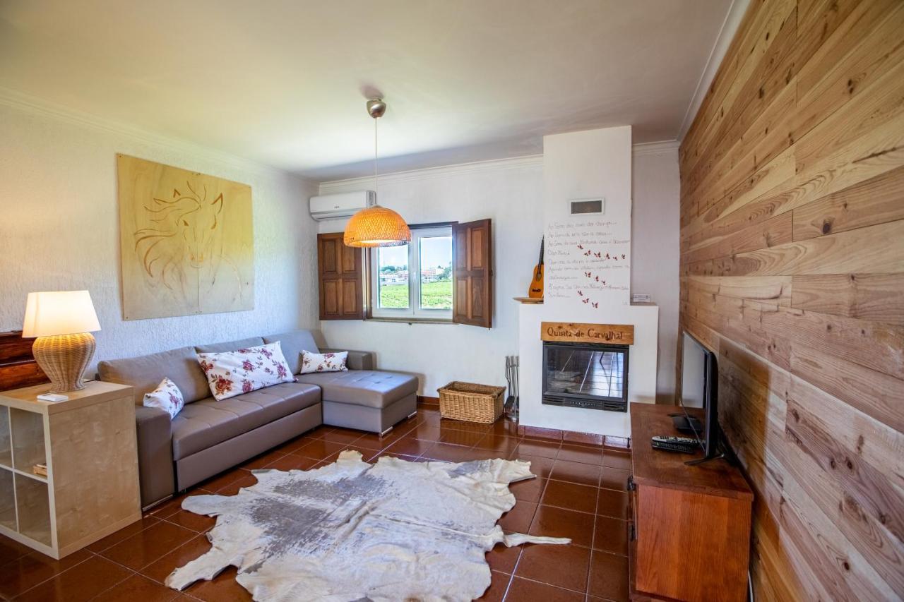 Villa Quinta De Carvalhal - Casa Da Vinha Guimarães Exterior foto