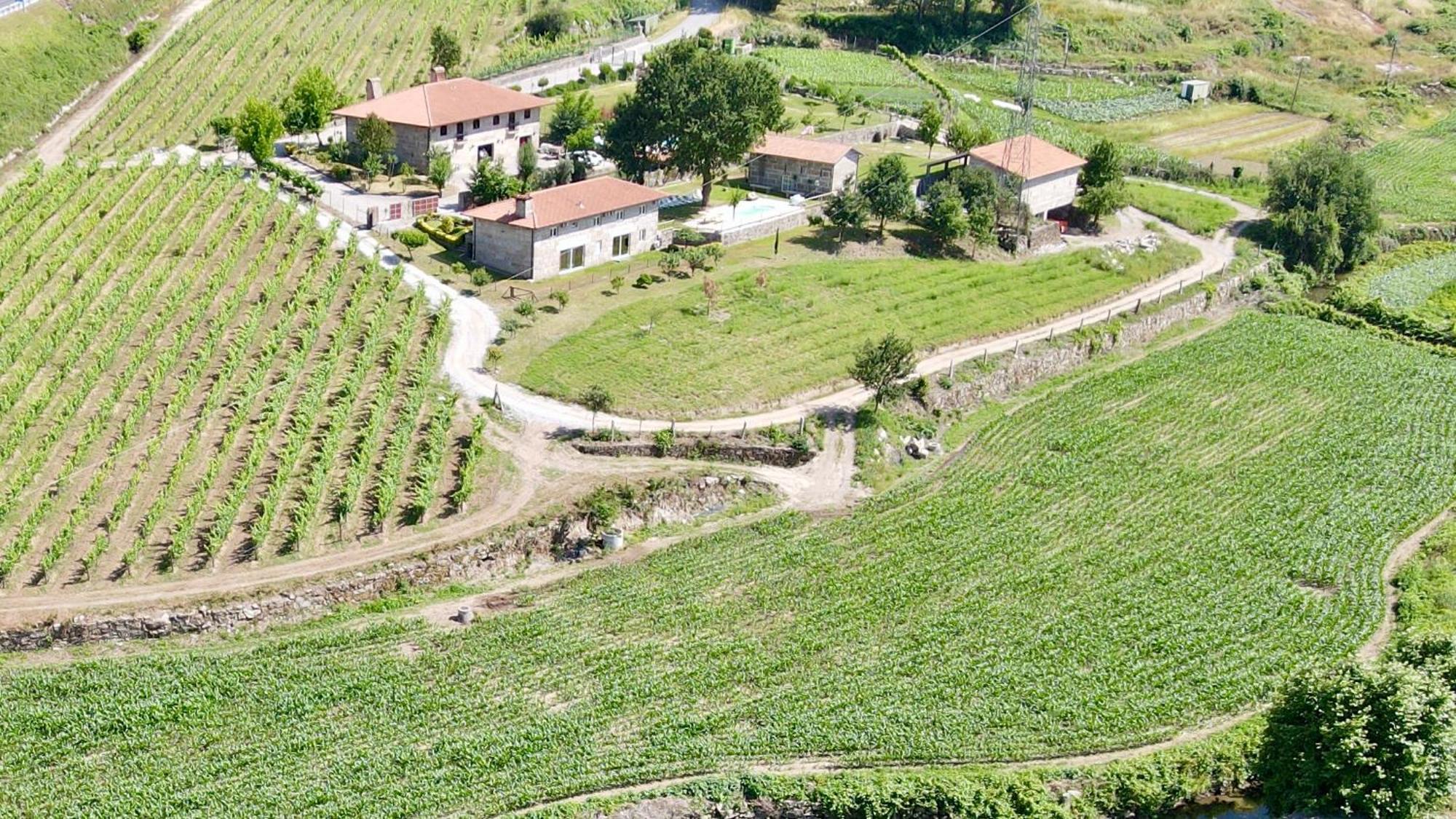 Villa Quinta De Carvalhal - Casa Da Vinha Guimarães Exterior foto